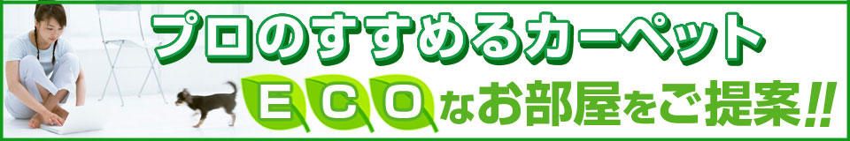 プロのすすめるカーペットECOなお部屋をご提案！！