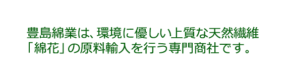 豊島綿業は、環境に優しい上質な天然繊維 「綿花」の原料輸入を行う専門商社です。